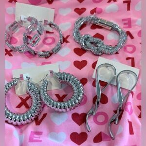 Elegant Silver Women's Accessory Collection